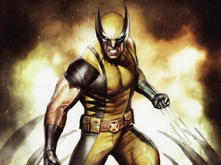 Woverine - animal, wolverine, x, men