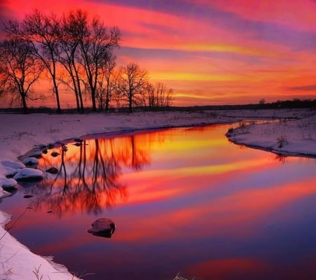 beautiful nature - nature, sky, purple, trees, reflection, red, sunset