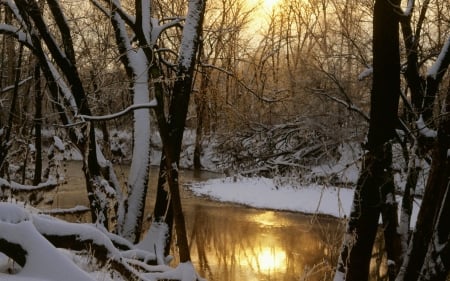 Gold Winter - winter, nature, lake, snow