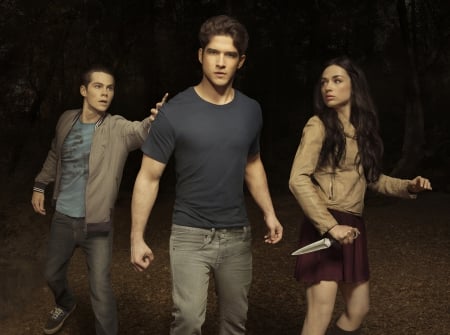 Teen Wolf (2011-) - people, stiles, night, teen wolf, man, dark, dylan o brien, werewolf, hunter, actor, Allison Argent, tv series, girl, Tyler Posey, actress, black, fantasy, woman, Crystal Reed, Scott McCall, lycan, young