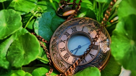 Pocket watch - watch, clock, time, wallpaper