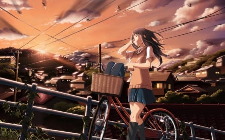 Sunset - clouds, house, trees, anime, anime girl, city, light, bag, school uniform, sunset, bicycle, sky, schoolgirl