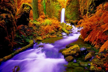 RUCKEL CREEK FALLS - Oregon, Creek, autumn, River, stream, Columbia, gorge