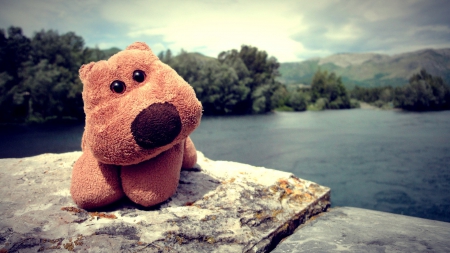 Teddy bear - photo, lake, bear, teddy bear