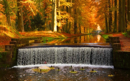 AUTUMN WATERFALL - crisp, golden, air, waterfall