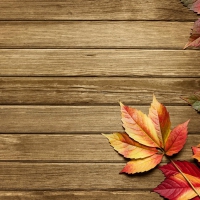 Autumn background