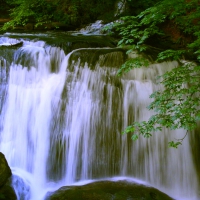 WHATCOM FALLS PARK,Bellingham, WA