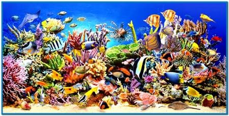 Reef Dwellers - sea, coral, fish, turtyle