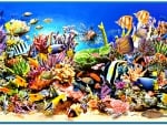 Reef Dwellers