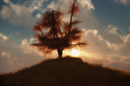 Autumn Dreams - sky, fall, landscape, tree, nature