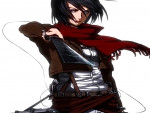 Mikasa