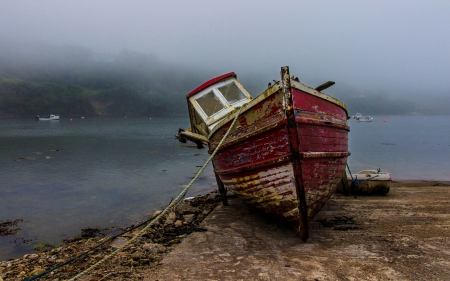 Boat - fog, nature, water, boat