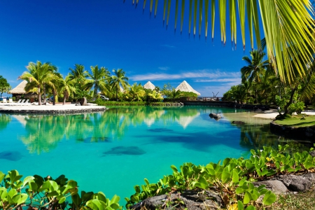 Green Blue Lagoon in Bora Bora - beaches, tropics, popular, paradise, islands, tropical, wallpaper, palm, huts, nature, beautiful, rest, sea, sky, beach, trees, hotel, vacation, oceans, polynesia, bora bora, green, lagoon, resort, sand, beautifuil, ocean, palms, exotic, heaven, luxury, blue, island, south pacific, pool, tahiti