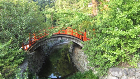 Little red bridge - japan, red, bridge, garden, plants