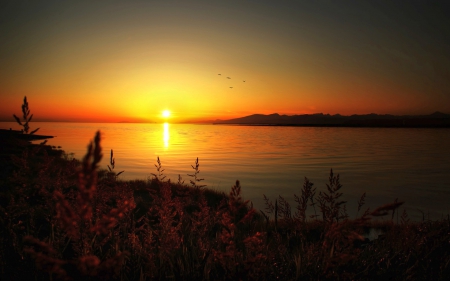 Beautiful Sunset - nature, sky, lake, beautiful, sunset