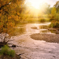 Autumn Background!