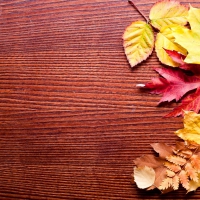 Autumn background