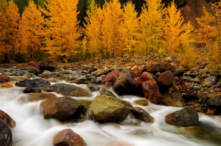 Autumn river - nice, autumn, trees, national park, riverbank, stream, creek, rocks, foliage, calm, fall, quiet, golden, falling, shore, lovely, serenity, nature, tranquil, beautiful, leaves, stones, colors