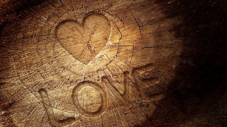 Love (wood version) - wood, love, brown, photo