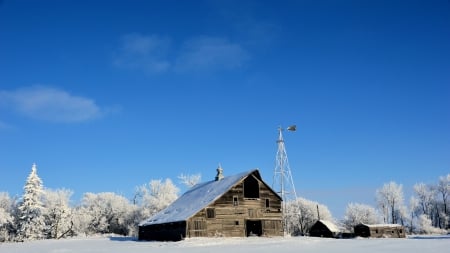 abandoned farm in winter - trees, winter, farm, abandoned, windmill