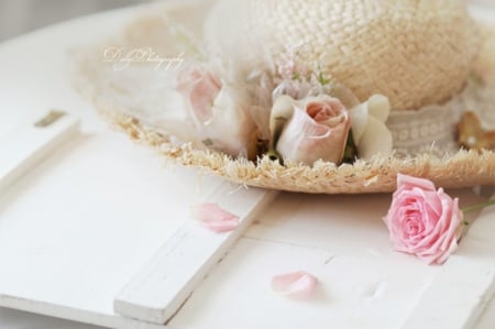 Petals of Lâ™¥ve - love, beauty, hat, roses, girl, soft, pretty, petals, pink, pastel, things