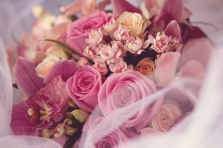 ..L♥vely.. - flowers, roses, for you, bride, tenderness, lovely, bouquet, softness