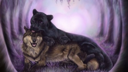 Friendship - friendship, panther, animals, wolf