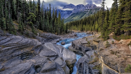 glorious river gorge - gorge, forest, river, mountains, rocks