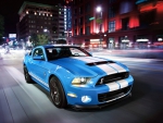 2014 Ford Shelby GT500