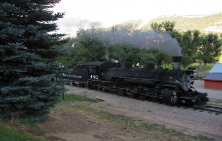 Navajo State Park, Colorado - navajo, trees, grass, forest, steam, train, nature, green, gray, gravel, colorado, state, sky, park