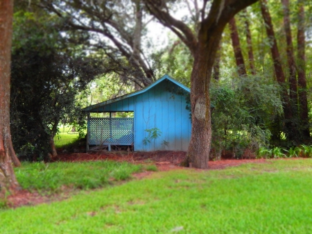 Old Shed - shed, houses, photography, old