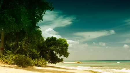 BARBADOS BEACH - wallpaper, water, landscape, sand, sky, barbados, clouds, beaches, new, trees, sea, nature