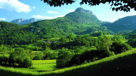 UPPER BAVARIA, GERMANY - trees, hills, green, spa town, landscape, grass, forest