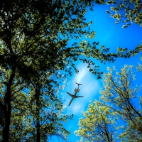 airplane gliding between the trees