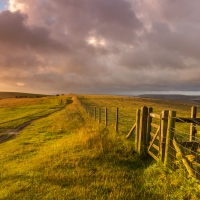 * ENGLAND - GREAT BRITAIN - West SUSSEX *