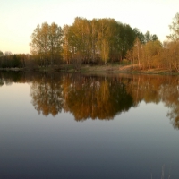 *** AUTUMN TREES AT LAKE ***