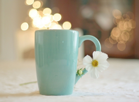 Morning Coffee - flower, morning, coffee, soft