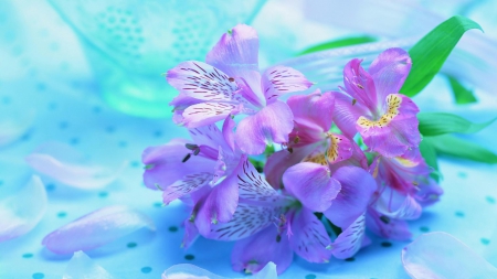 Purple Flowers - cute, love, Flower, purple