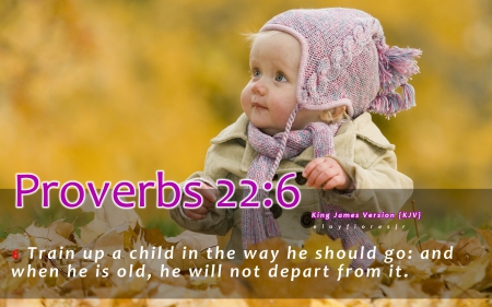 Proverbs 22:6 - bible verse wallpaper, proverbs 22 6, bible verse background, bible verse kjv, bible verse