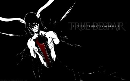 Form of Despair - bleach, blood, final, black, schiffer, ulquiorra, espada, 4, number, form, despair