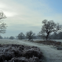 sublime frosty winter scene