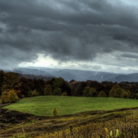 lovely grazing meadow under stormy sky