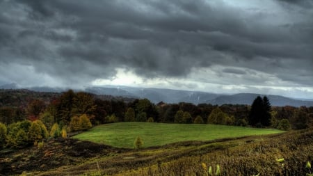 lovely grazing meadow under stormy sky - sky, meadow, clouds, trees, grazing