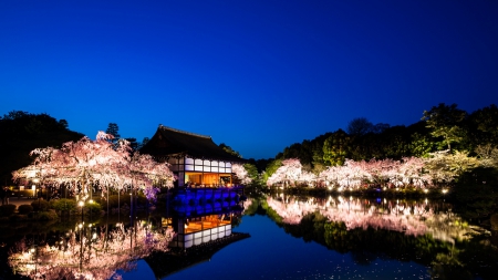 outdoor oriental restaurant on a lake at night - night, lake, restaurant, lights