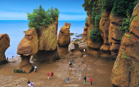 Bay of Fundy ~ Tide Out - Trees, Ocean, Canada, Beach