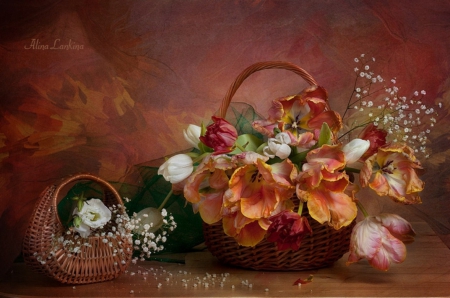 Still life - flowers, basket, nature, soft