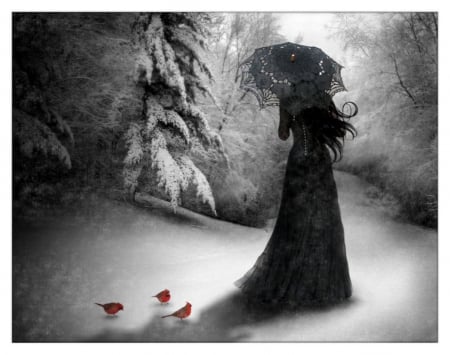 The Coldest Day - black, fantasy, winter, lady