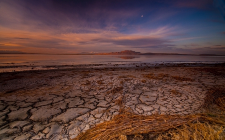 Shore - land, earth, sea, shore