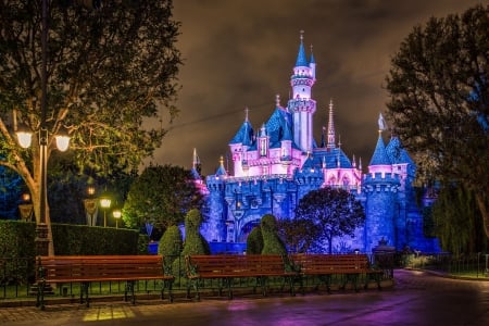 Disneyland, Anaheim, California - trees, evening, benches, light, castle