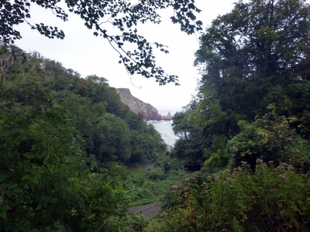 Ansteys Cove - clouds, trees, water, nature, beach, devon, sea, ocean